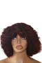 Afro Bouncy Curls Human Hair Wig – Short Curly Afro Wig | Natural Afro Human Hair Curls - 6