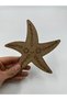 10 Pieces Starfish Wooden Painting School Event Activity Art 15 cm - 3