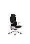 Modern Ergonomic Office Chair with Adjustable Headrest – 3 Position Lock, Nylon Base, PU Casters