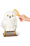 Harry Potter Charming Hedwig - 4