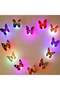 LED Butterfly Double Face