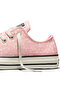 Chuck Taylor All Star Deer Pattern Women's Casual Shoes A17880C - 4