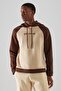 Stone Regular/Normal Cut Hooded Embroidered Color Block Sweatshirt Tmnaw22Sw0334