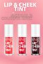 Lip & Cheek Tint Lip and Cheek Colorant That Gives a Natural Look and Long-Lasting Effect 6 ml - 03 - 3