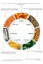 Iron-B Plus |   Daily Iron Support for Energy and Red Blood Cell Formation |   Iron + Vitamin C, B2, B6, B12, B9 (Folate) + Copper |   90 Tablets – 3 Months of Use - 4