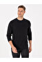 Black Regular Fit Sweatshirt 50311649-Vr046 - 3