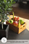 Brand Pecho Presentation Container