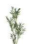 Artificial olive tree simulation, 85 cm - 3