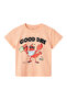 Nmmfısh Nreg Ss Top Box Pink Boy's Short Sleeve T-Shirt