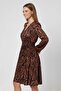 Women Zebra Print A-Line Dress, Multicolor - 3