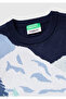 Boy's Navy Blue Embroidered Licensed Sweater - 3