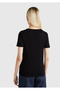 Women's Black 100% Cotton V-Neck Basic T-Shirt - 3