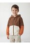Lcw Kids Brown Hooded Color Block Boy's Coat