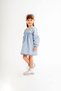 Girl's Embroidered Denim Dress Long Sleeve Casual Jean Dress-Jlb-098