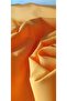 Taffeta Orange