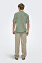 Men's Striped Shirt Collar Green T-Shirt - 22037080 - 2