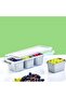 4 Compartment Deep Grand Organizer - 2