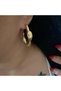 Steel, Gold Color Design Earrings Acr9095