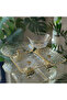 Elegant 4-Piece Gold Crystal Presentation and Serving Set - 2