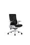 Modern Ergonomic Office Chair Without Headrest for Office, Home Office and Shops, Medium Back