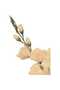 Buchet de 5 gladiole crem - 2