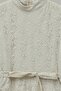 Hakim Collar Belted Lined Patterned Lace Dress Mink - 3
