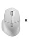 WIRELESS SISKIN 2, Alb