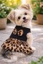 Small Breed Love Leopard Dog Dress Dog Outfit (1-10kg) - 5