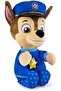 Bedtime Plush Chase & Sky Asstd. - 1 Random Plush - 6
