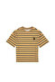 Boy's Khaki T-Shirt 50325183-Vr027 - 2