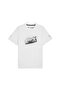 Bmw Mms Ess Graphic Tee Men's White T-Shirt 63489902