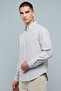 Striped Shirt with Button-Down Collar and Long Sleeves - 2
