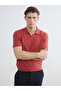 Timeless Clothing & Timeless Choices Devark Roba Collar Men's T-Shirt