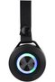 Portable Rechargeable Speaker with Mic and Remote