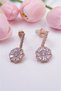 Flower Figured Hypoallergenic Stainless Steel Earrings 130626 - 2