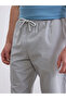 Gray Standard Fit Men's Trousers - 3