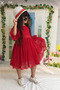 Girl's Party Outfit Birthday and Performance Costume Dress Age 2/13 - 2