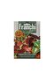 Coleus Seeds FFS314/1 - 3
