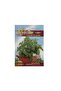 Peppermint Seeds - 5