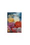 Mixed Seeds Aster - 5