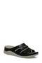 166940.Z6Fx Black Women Slipper - 2
