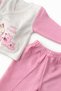 Girl Newborn Pink Rabbit 5-Piece Hospital Discharge Set Bodysuit Set Baby Hospital Discharge Gift Hospital Discharge - 2