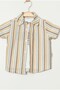 Baby Boy Striped Shirt Brown Shorts 2-Piece Summer Set - 2