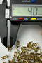 Stainless Steel Medium Size Gold Crab Clasp for Jewelry Making/Production |   50 Pieces - 3
