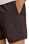 We Bas Wv Sho Auco Brown Men's Shorts - 5
