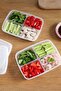 3 Pieces 4-Compartment Food Dispenser Meat Vegetable Storage Container - Frozen Birdhead Chicken Mincer Organizer - 2