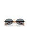 Po 1018S 113256 55 Sunglasses - 6