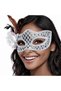Silver Feathered Ball Mask, Women's Party Accessory, Cceldr02.