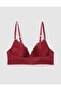 Aerie Real Power Plunge Push Up Eyelash Lace Bra - 4