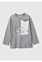Boy's white Printed crew neck long sleeve t-shirt